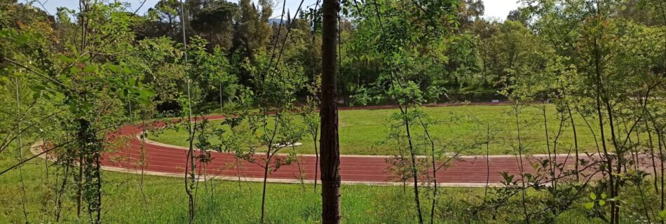 jogging-in-tirana-guide-to-staying-active