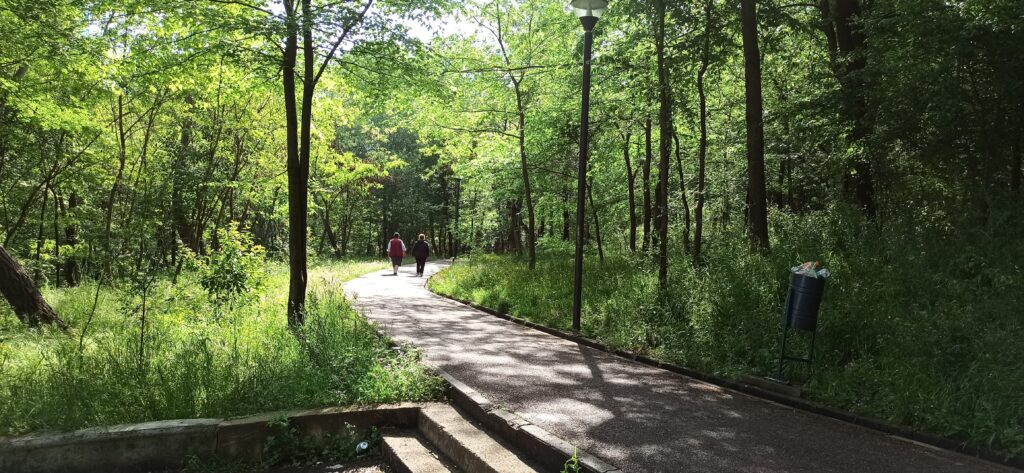 Jogging in Tirana Guide to staying active